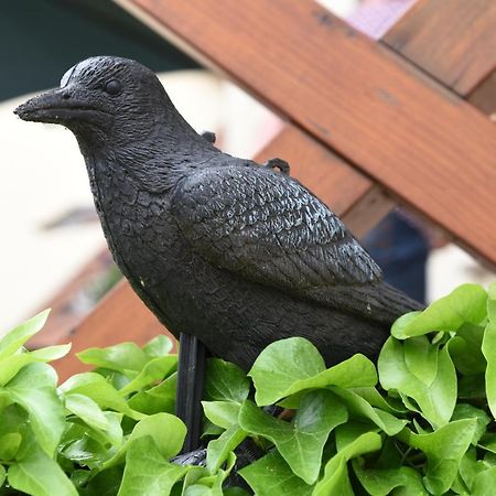 Ferienappartement Balik Bad Staffelstein Dış mekan fotoğraf